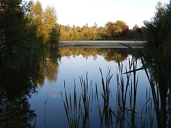 Meer dan kamperen alleen! - Camping Roelage Westerwolde