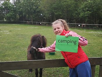 Ons verhaal - Camping Roelage Westerwolde