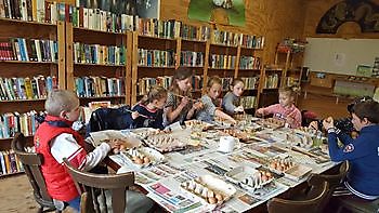 De bibliotheek - Camping Roelage Westerwolde