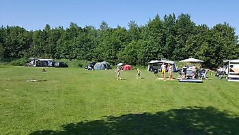 Kampeerplaatsen - Camping Roelage Westerwolde