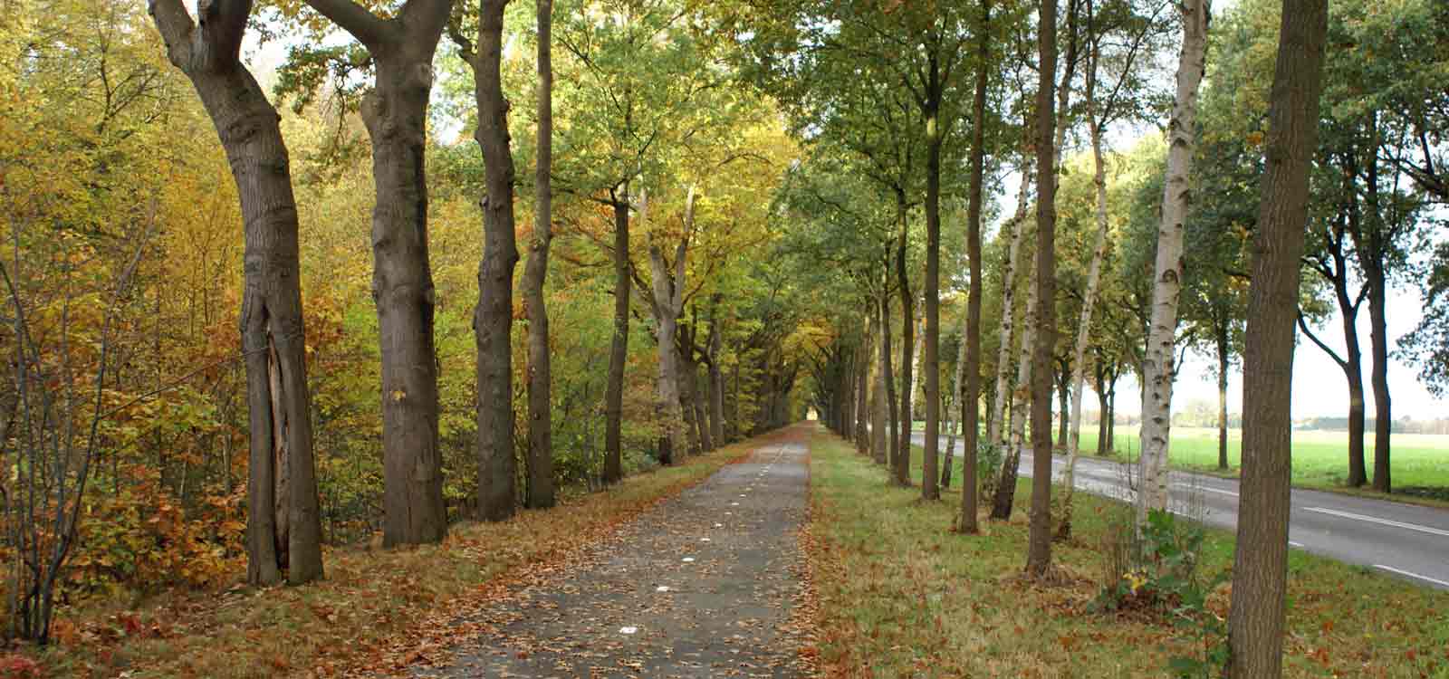 Heerlijke omgeving voor fietsen, wandelen etz. - Camping Roelage Westerwolde