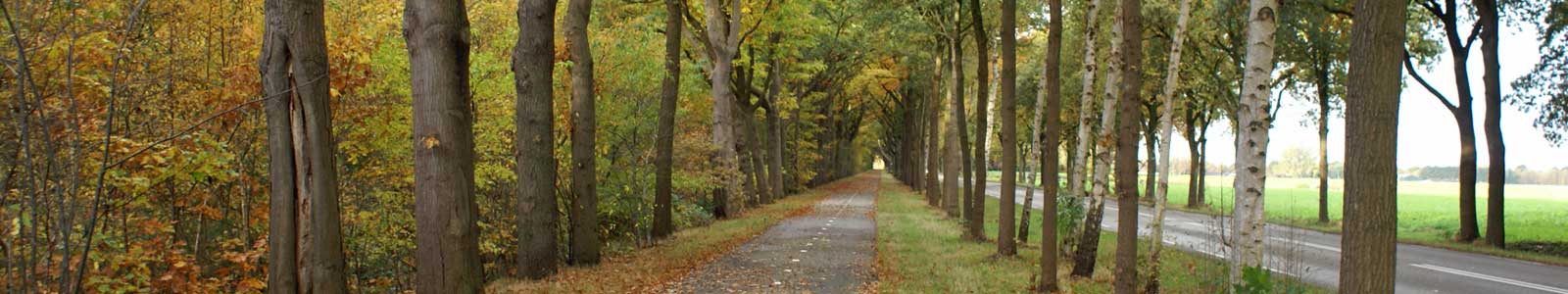 Kamperen in Westerwolde - Camping Roelage Westerwolde