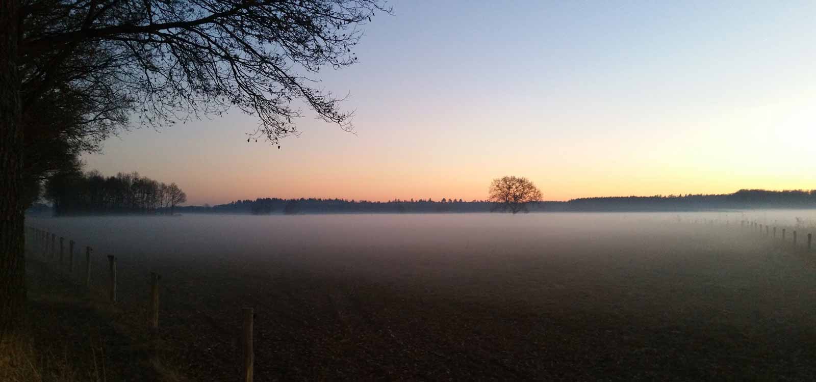 Roelage in de mist - Camping Roelage Westerwolde